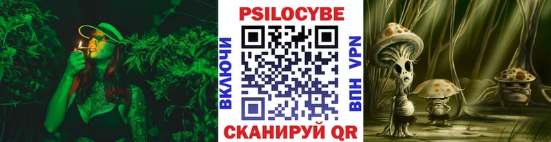 shop официальный сайт Реутов МЕГА ссылка Псилоцибиновые грибы прущие грибы что такое наркотик