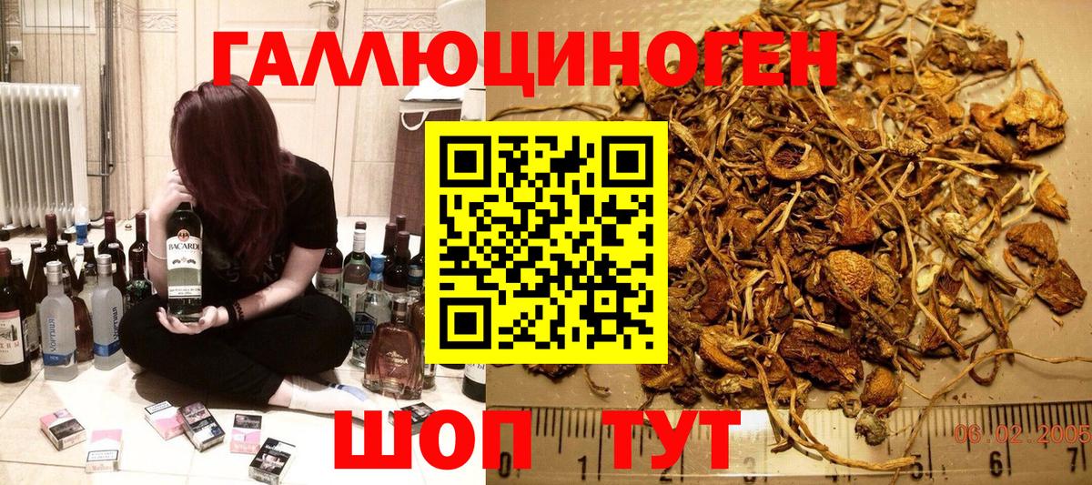 Галлюциногенные грибы MAGIC MUSHROOMS Реутов