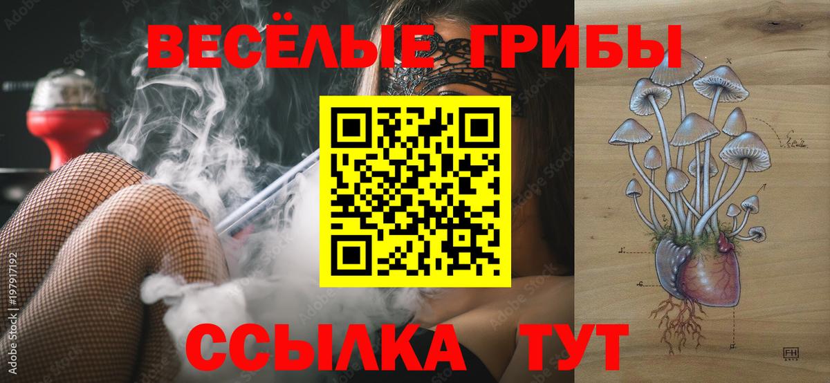 Реутов  Псилоцибиновые грибы Psilocybine cubensis  Вход с VPN  Псилоцибиновые грибы MAGIC MUSHROOMS 
